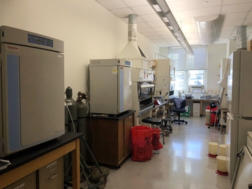 Labs for faculty-student research