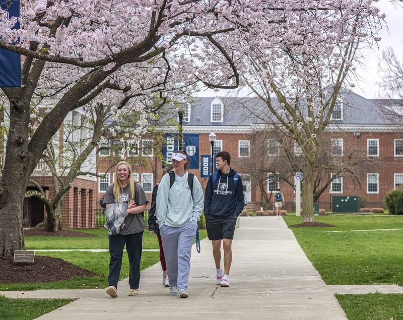 Student Candid Cherry Blossom
