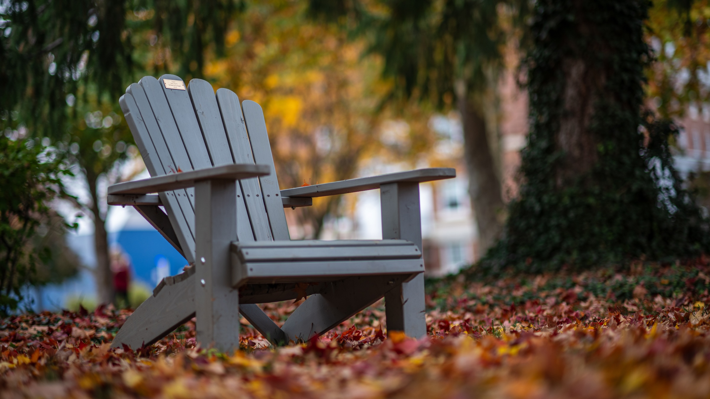 A Hood Adirondack Chair surrounded by fall foliage