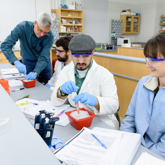 Students working in a lab