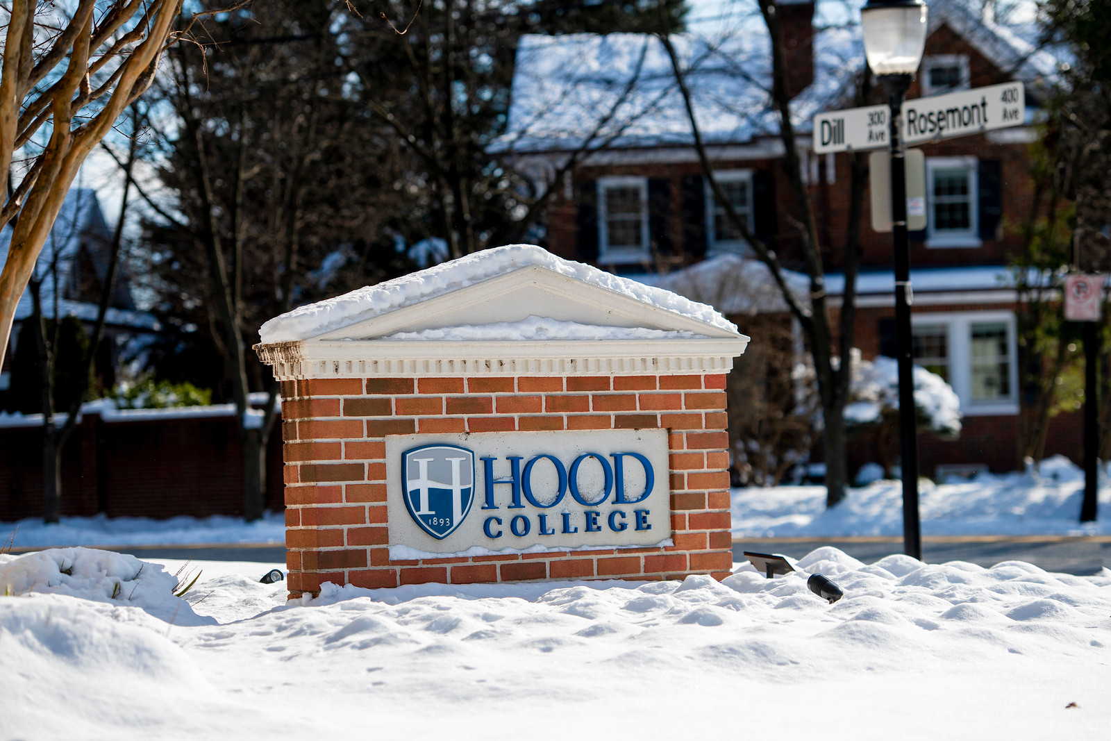 sign in snow new