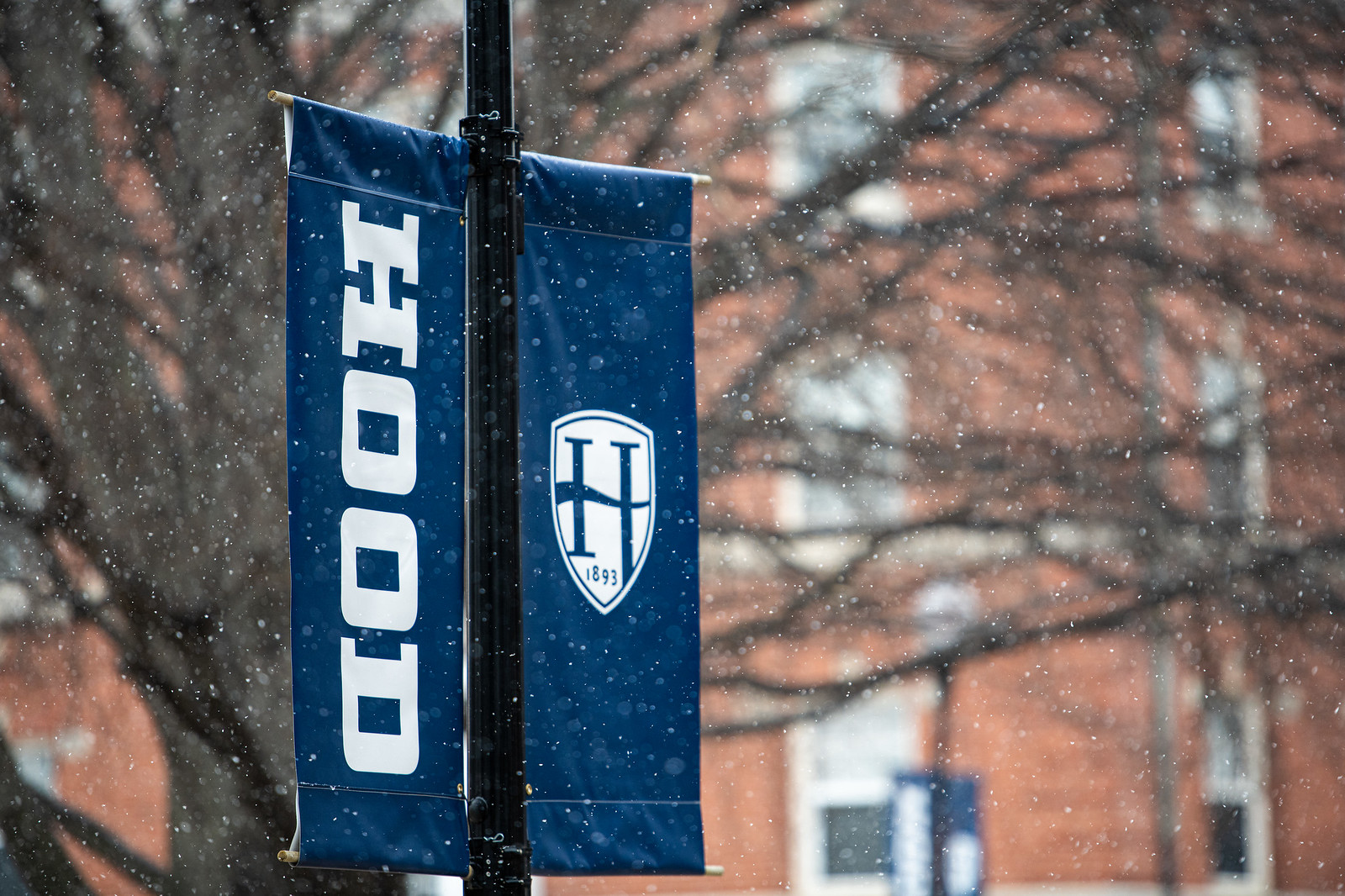 snow banners