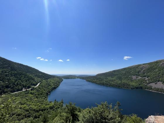 Water at Acadia