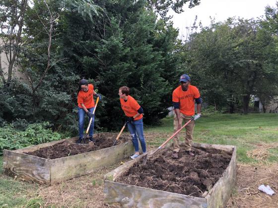 volunteers shoveling