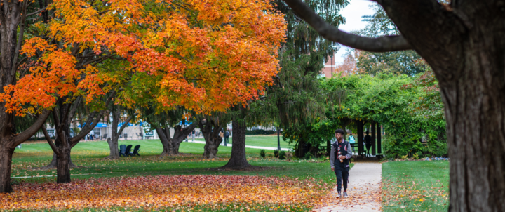 Kid walking in fall near pergola