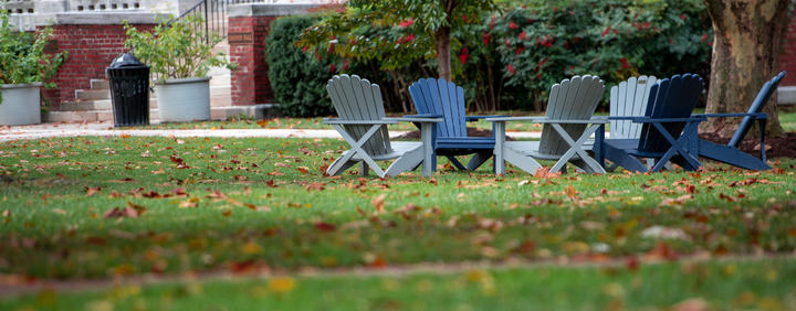 College 2025 adirondack chairs